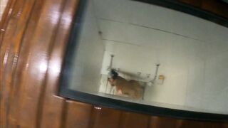 FAT SHORT MOTEL, SHOWING HERSELF AND MASTURBATING, ENJOYING A LOT OF MOANNING