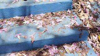 I woke up with that desire, decided to go for a walk