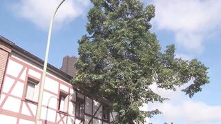 German BBW - outdoor sex