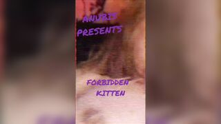 Come play with kitten - 1 image