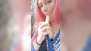 Come play with kitten