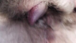 Creampie and Cum Facial Pregnant Wife Gets Two Cumshots - BunnieAndTheDude