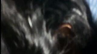 Good Night made best night with a shot of white warm thick cum meal