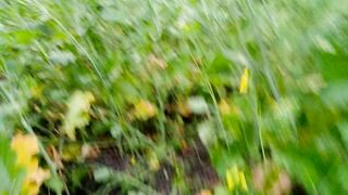 Indian desi mother-in-law mom ki sex video khet me jamai saas by xxx videos - 1 image