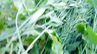 Indian desi mother-in-law mom ki sex video khet me jamai saas by xxx videos - 3 image