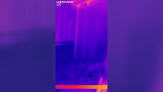 Watch this chubby chick get her ass fingered & stuffed with massive butt plugs in chastity belt - 15 image