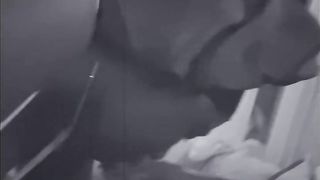 Thot with Big Ass Booty Sucking Dick and Fucking - 2 image